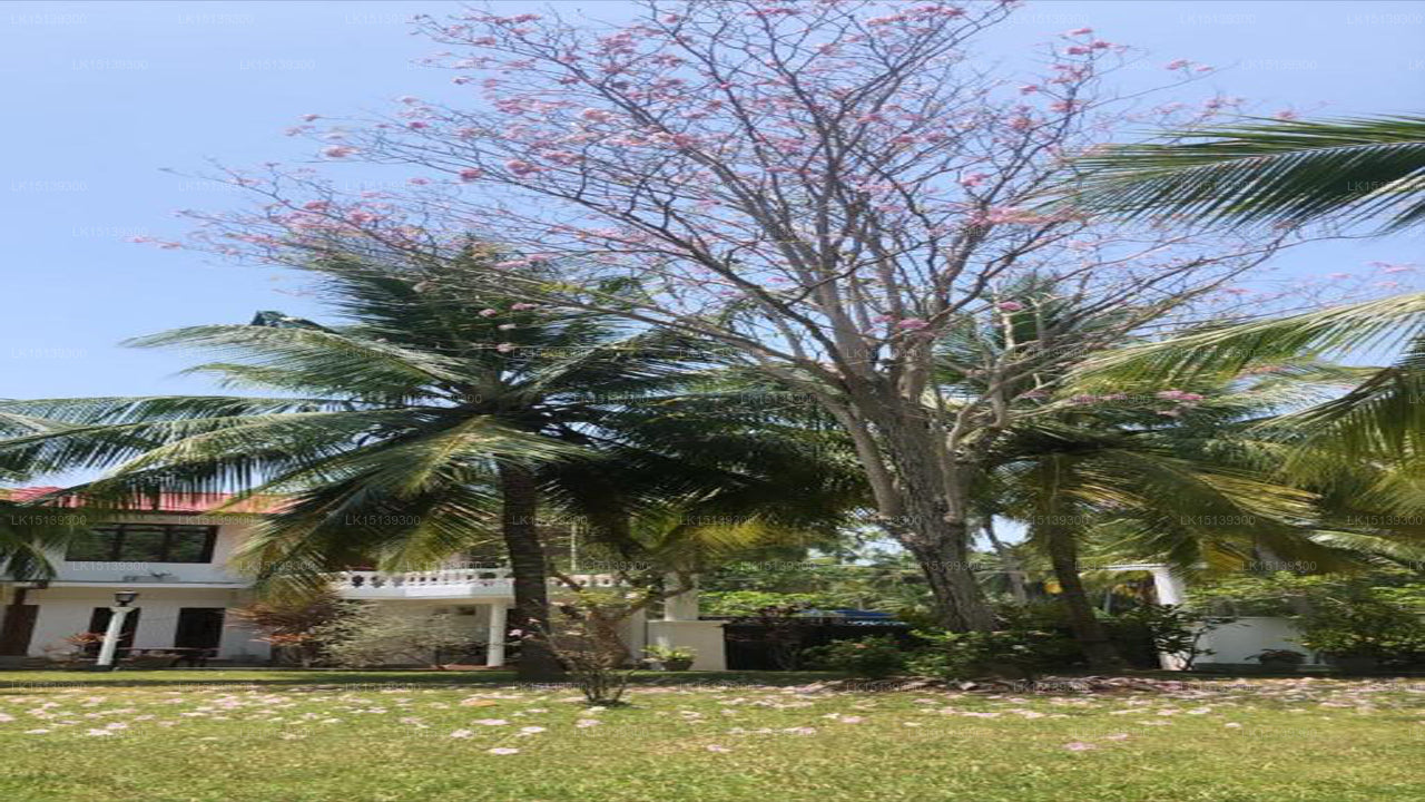 Hotel Lagoon Paradise, Negombo 