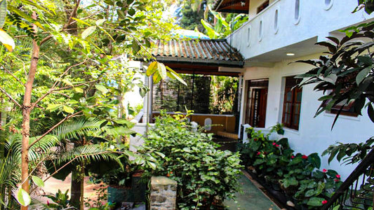 Alex Home Stay, Kandy 