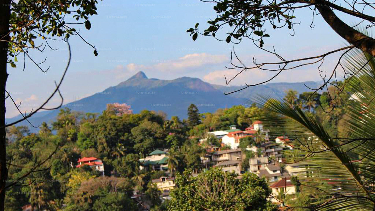 Alex Home Stay, Kandy 