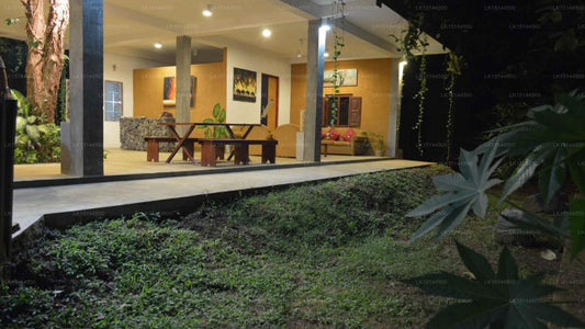 Wild Elephas Lodge, Udawalawe