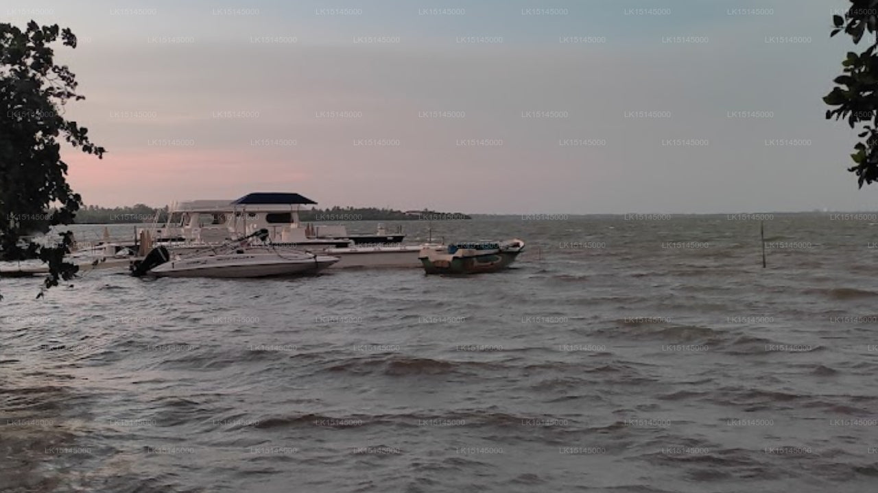 Green Banks Ferienbungalow, Negombo 
