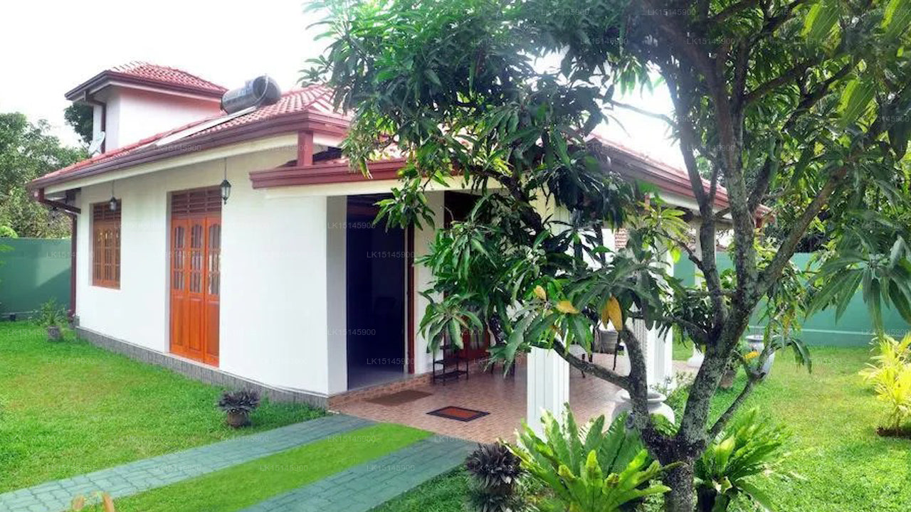 Grüne Gärten, Negombo