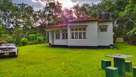 Öko-Dschungelversteck, Matara