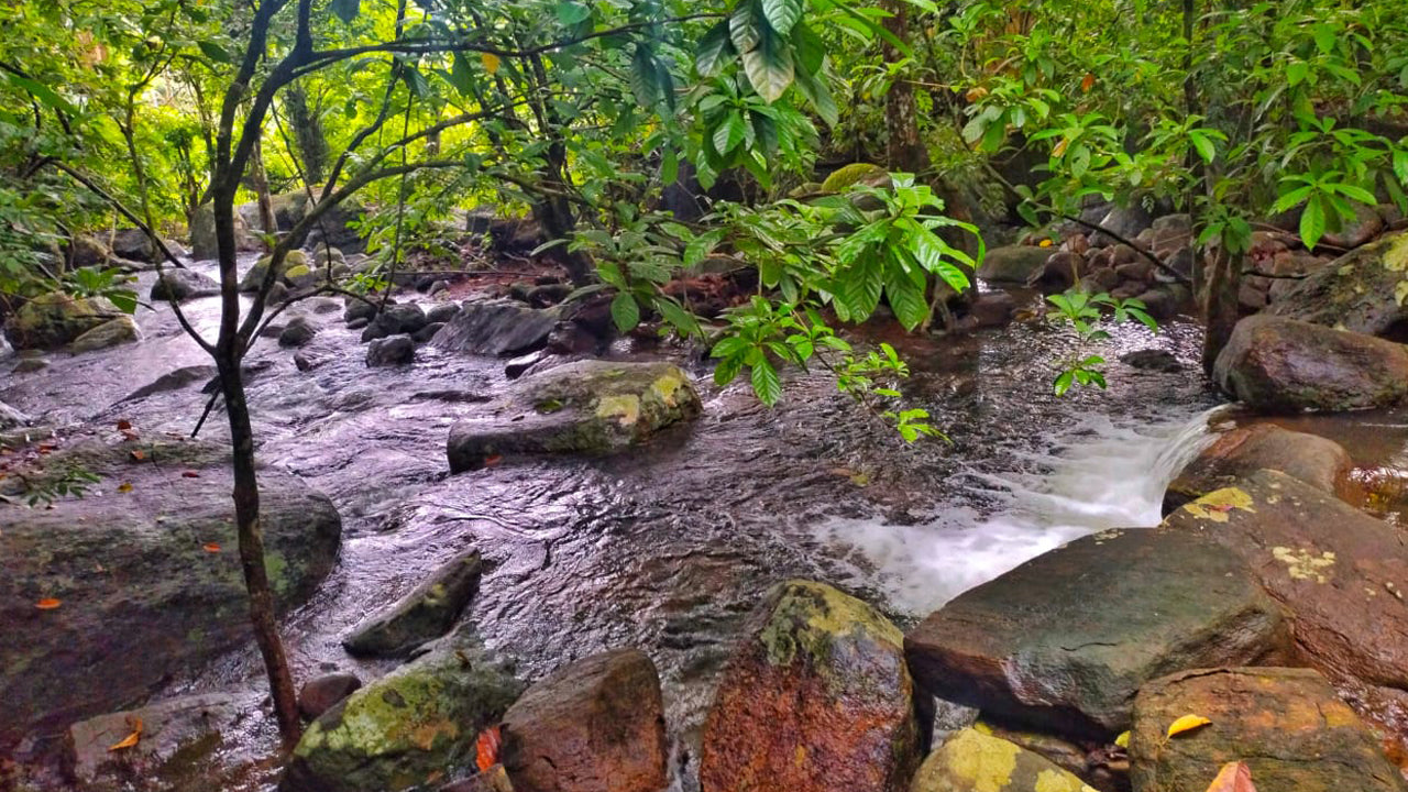 Öko-Dschungelversteck, Matara