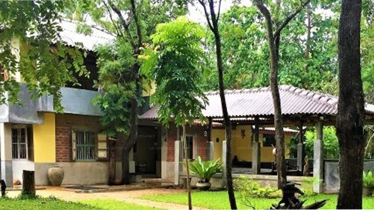Verborgene Seite von Waya Ulpatha, Sigiriya