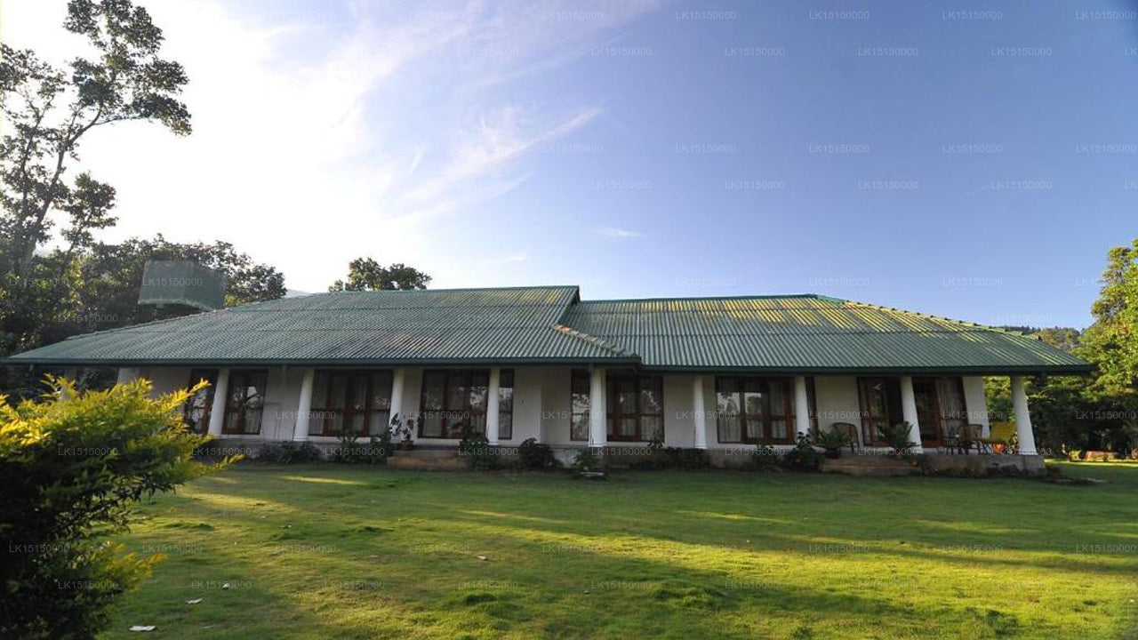 Dschungelflut, Kandy