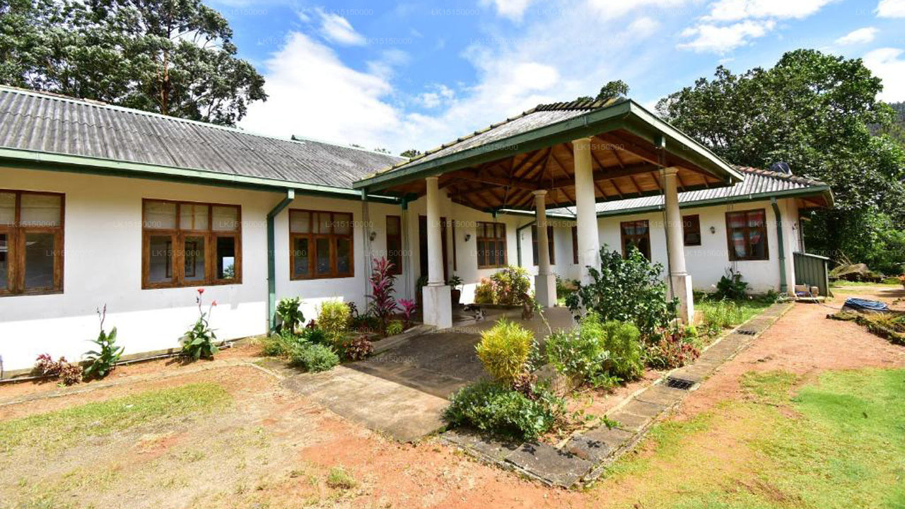 Dschungelflut, Kandy