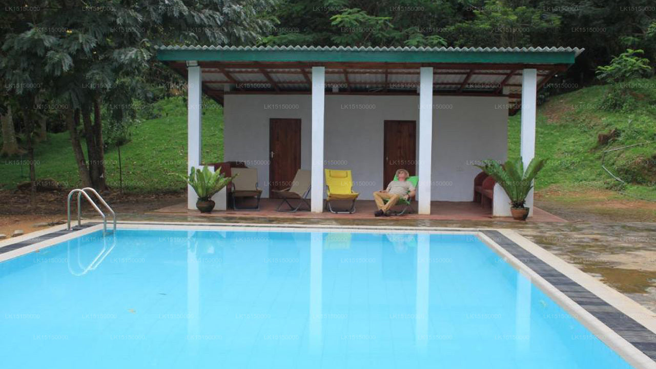 Dschungelflut, Kandy