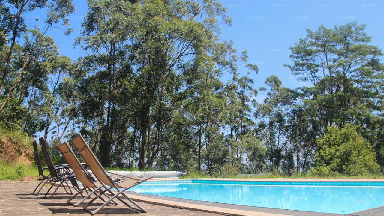 Dschungelflut, Kandy