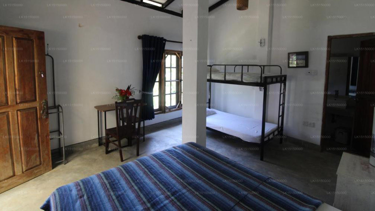 Dschungelflut, Kandy