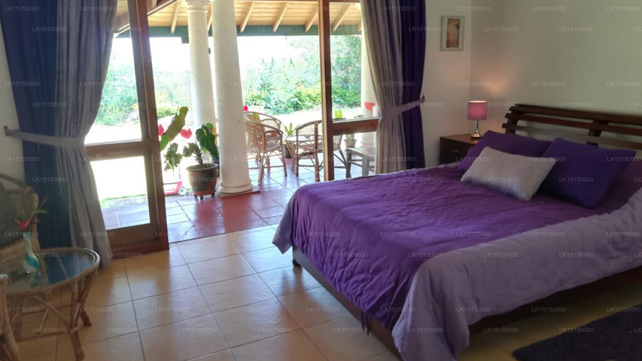 Dschungelflut, Kandy