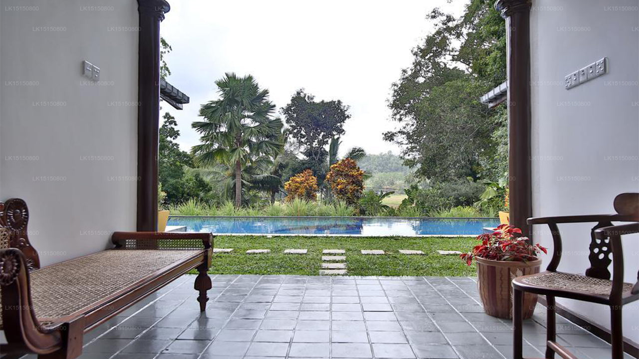 Lazy Lizard Hotel, Galle 