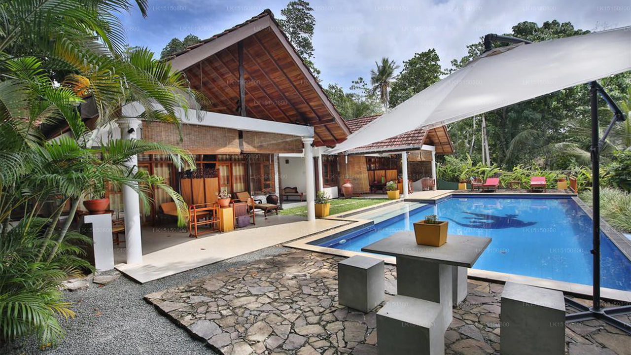 Lazy Lizard Hotel, Galle 