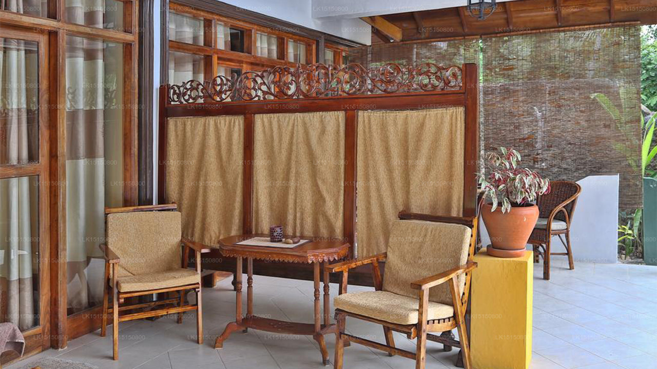 Lazy Lizard Hotel, Galle 