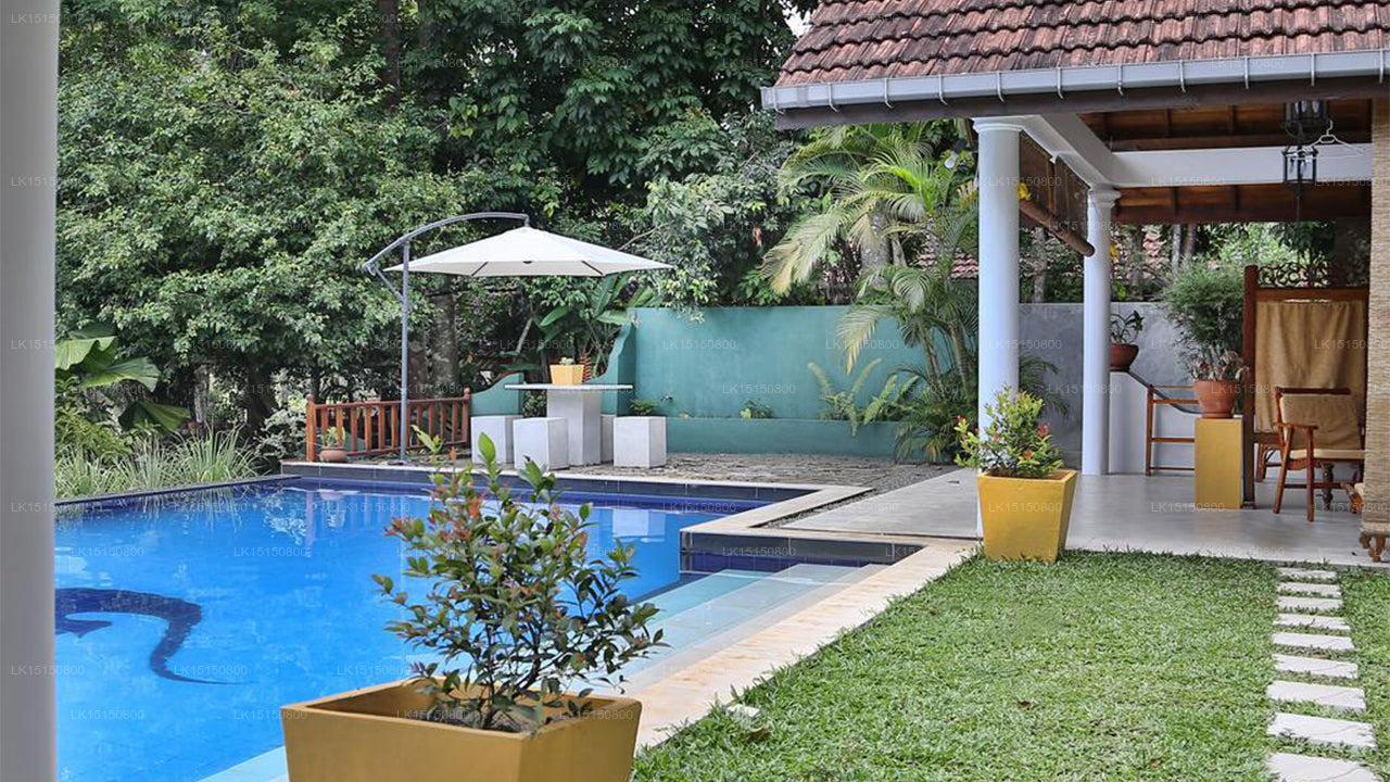 Lazy Lizard Hotel, Galle 
