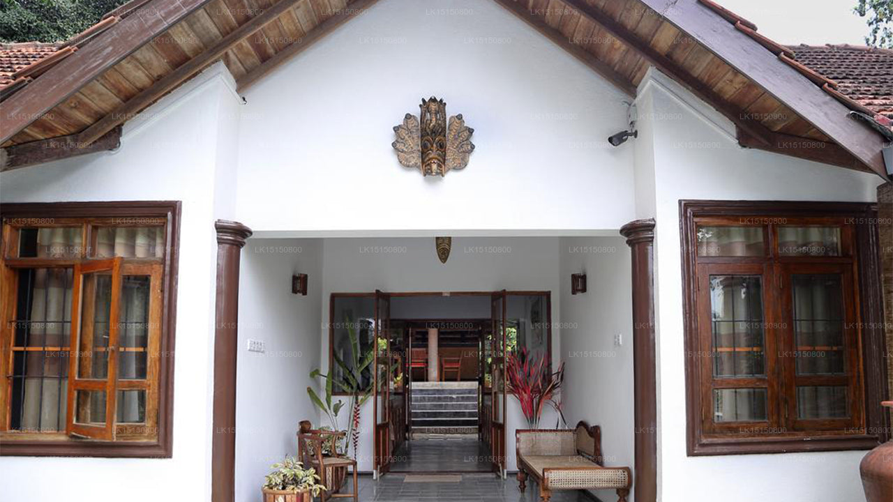 Lazy Lizard Hotel, Galle 
