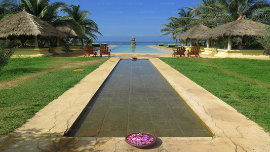 Alankuda Beach Resort, Kalpitiya 