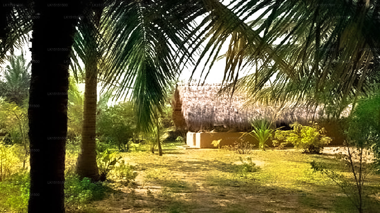 Alankuda Beach Resort, Kalpitiya 