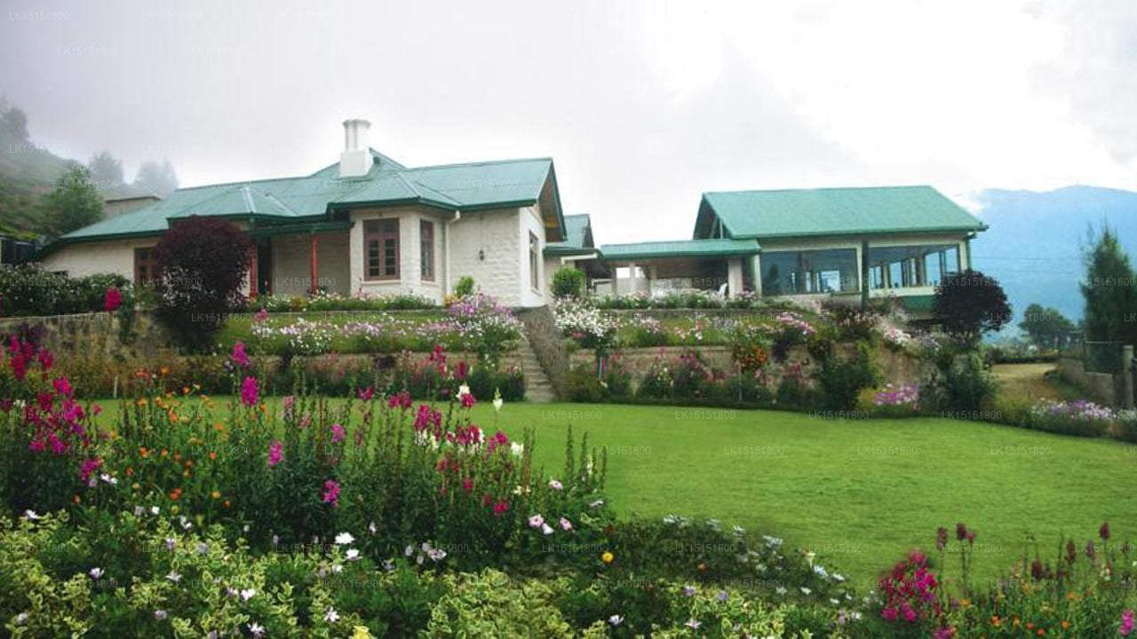 Tea Bush Hotel, Nuwara Eliya 