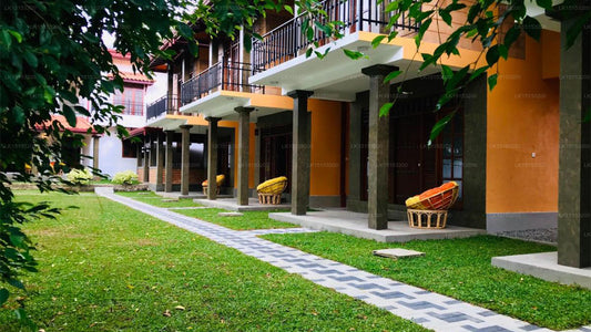 Öko-Villa, Tangalle