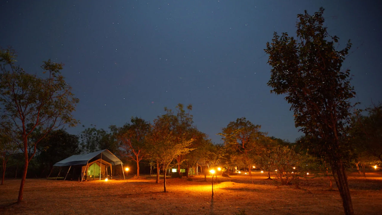 Großwildcamps und Lodges in Udawalawe