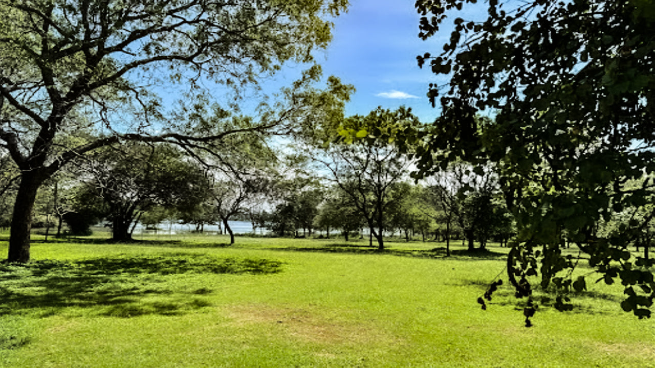 Großwildcamps und Lodges in Udawalawe