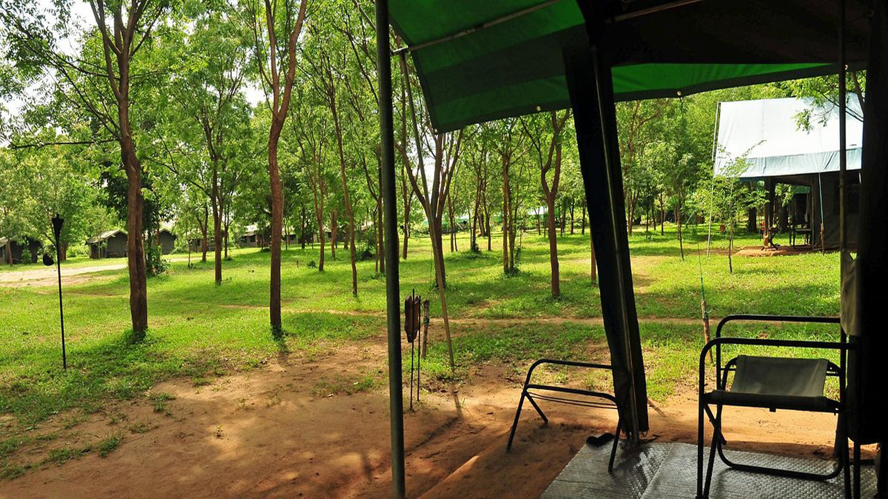 Großwildcamps und Lodges in Udawalawe