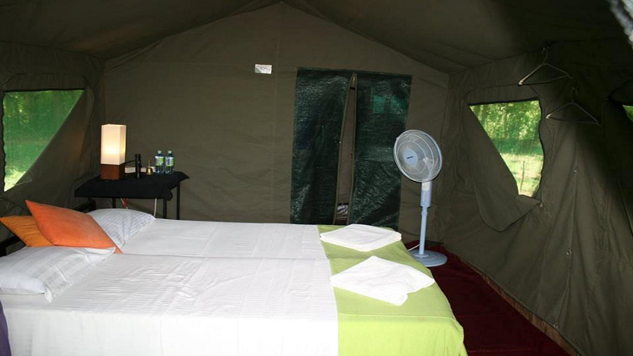 Großwildcamps und Lodges in Udawalawe