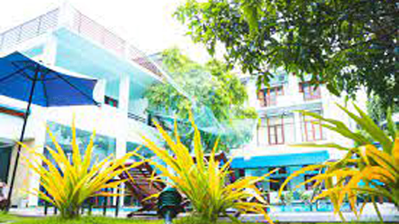 WindMill Beach Hotel, Negombo 