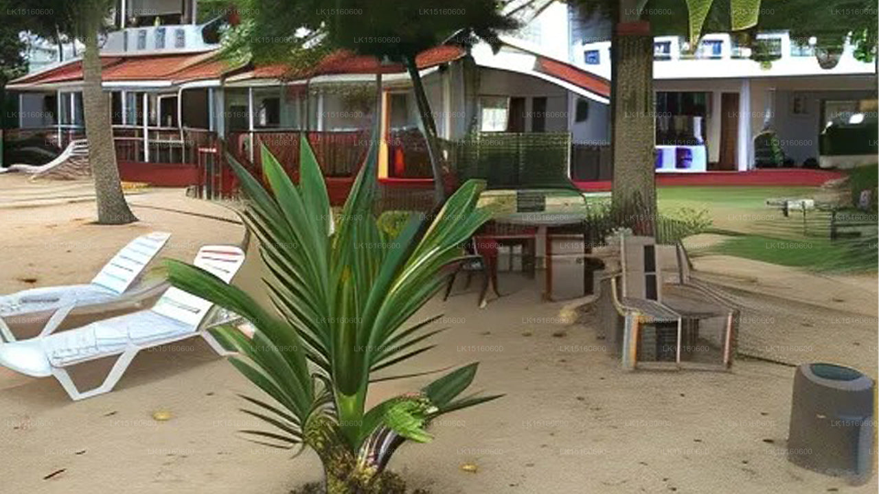 Blick auf die Bucht von Weligama, Weligama 