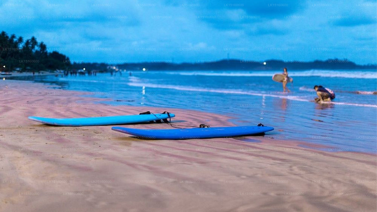 Blick auf die Bucht von Weligama, Weligama 