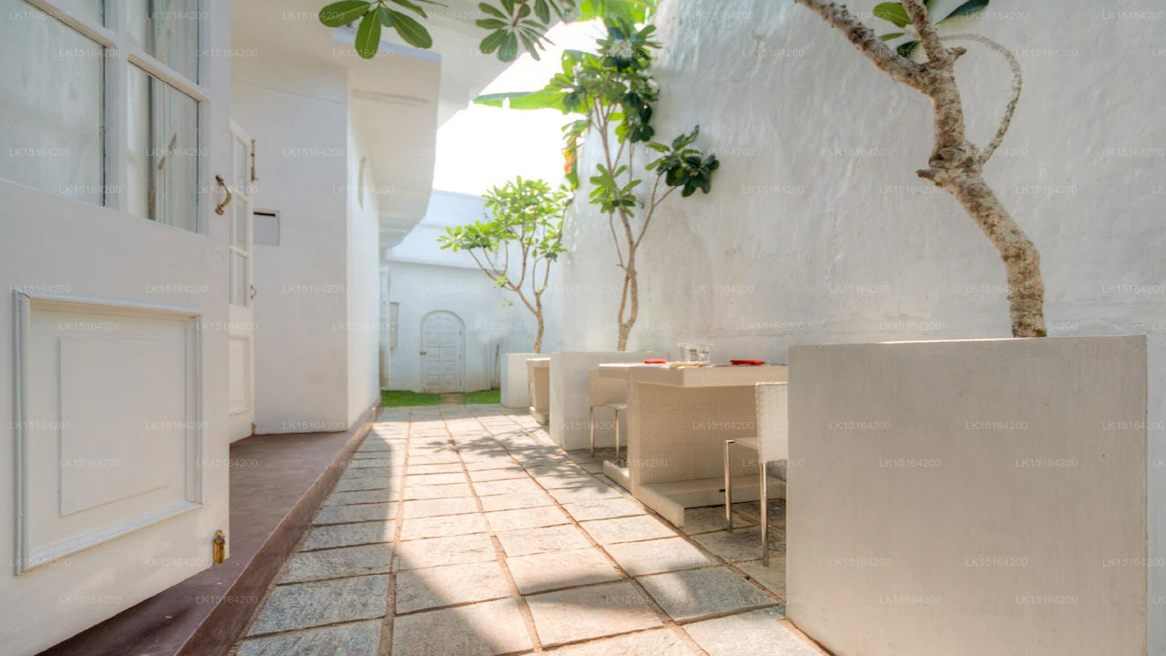 Deco On Forty Four, Galle 