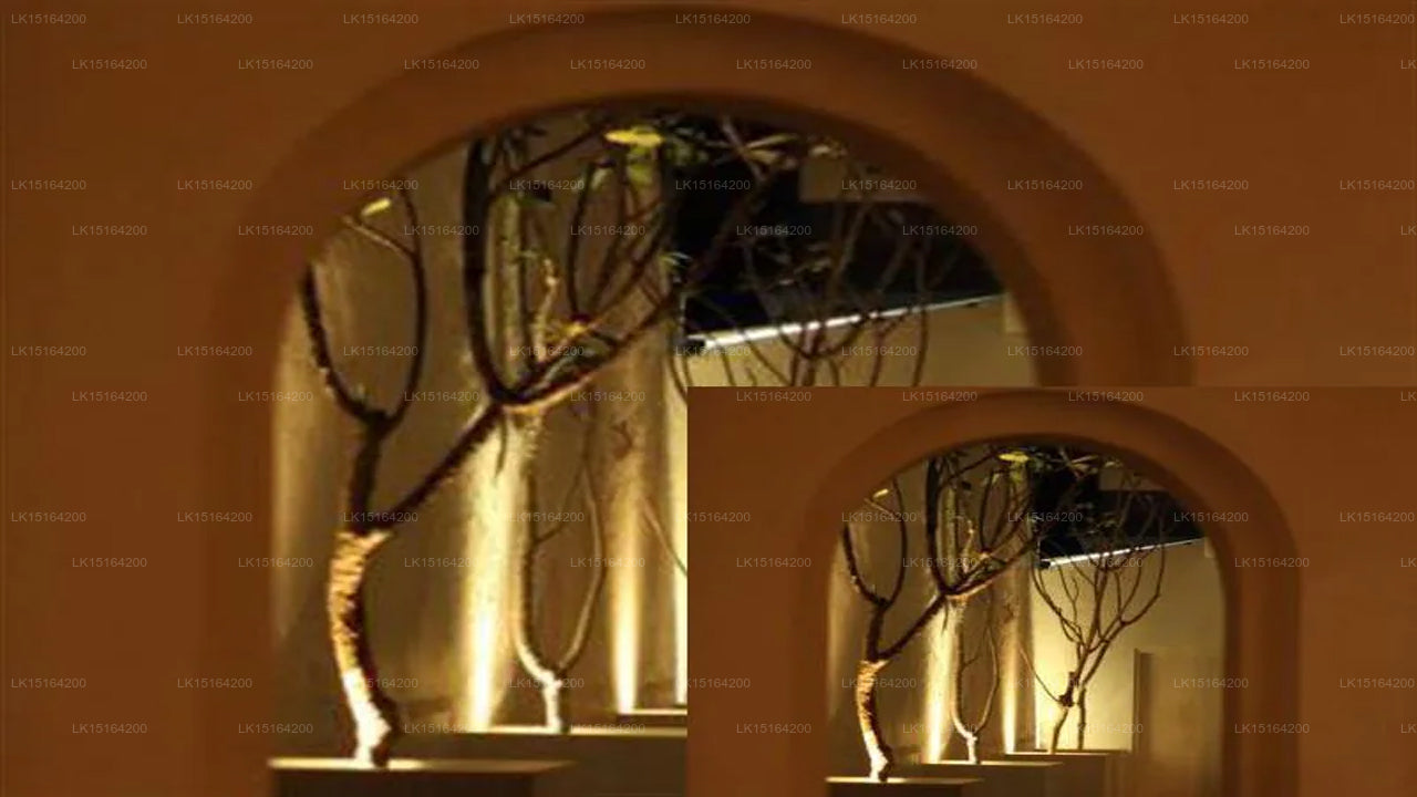 Deco On Forty Four, Galle 