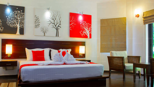 Die Villa Exotica, Kotte