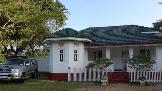 Villensafari, Minneriya