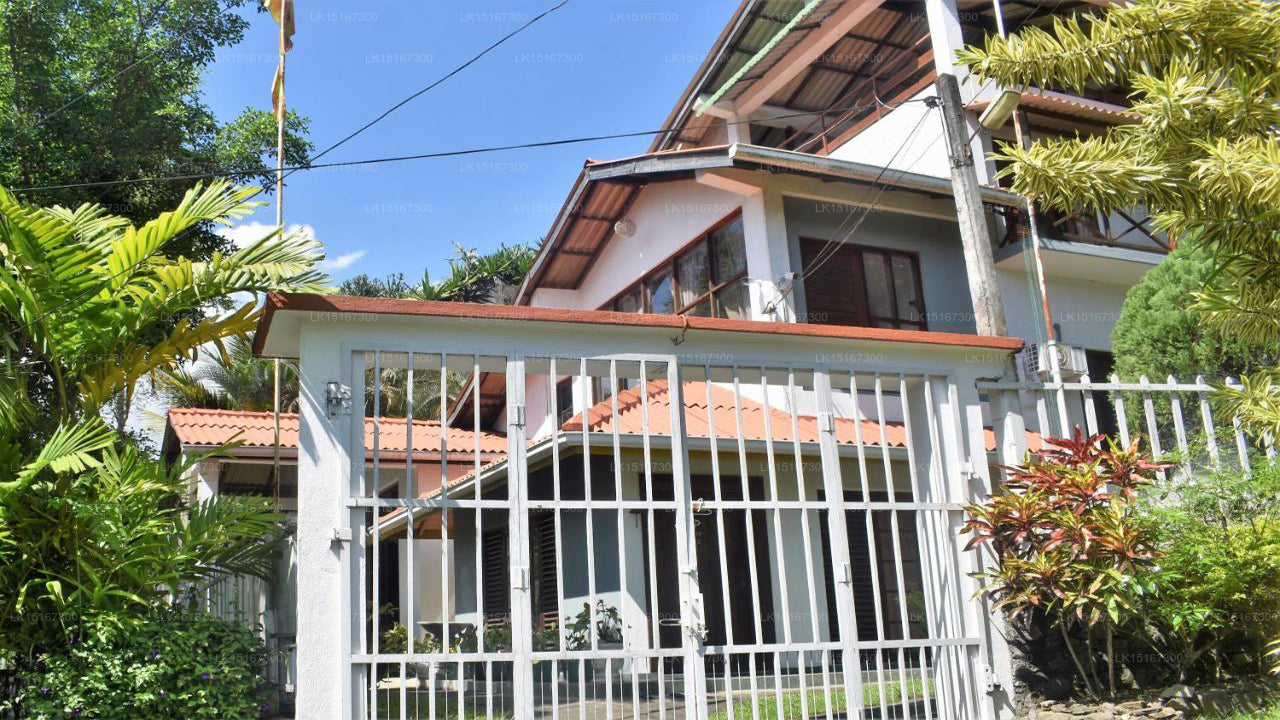 Deer Point Bungalow, Kandy 