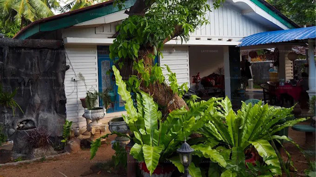 Rock Cascade Home Stay, Polonnaruwa 
