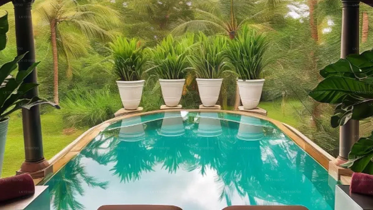 Casa Heliconia, Katunayake 