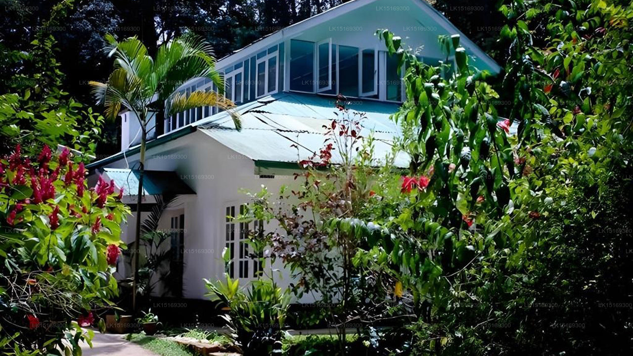 Surrey Bird Sanctuary &amp; Holiday Resort, Welimada