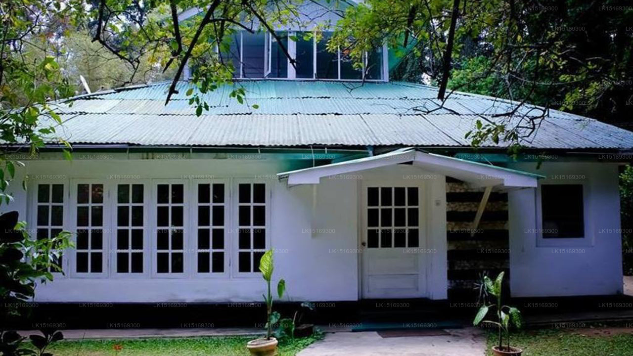 Surrey Bird Sanctuary &amp; Holiday Resort, Welimada