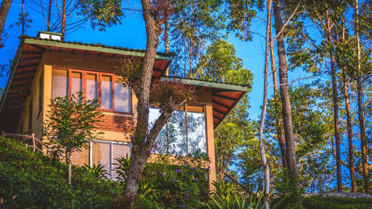 Das Tea Cottage Resort, Nawalapitiya