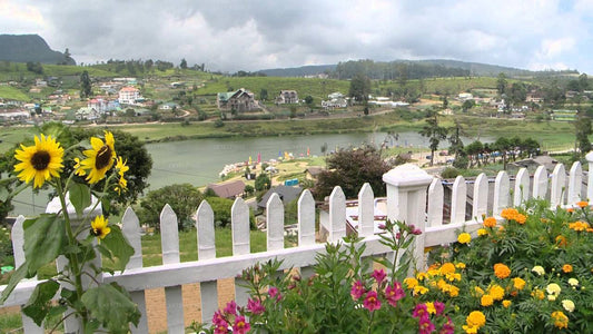 Komfort-Bungalow mit Seeblick