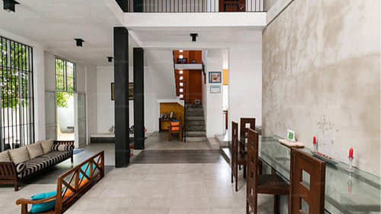 Palmennest, Colombo