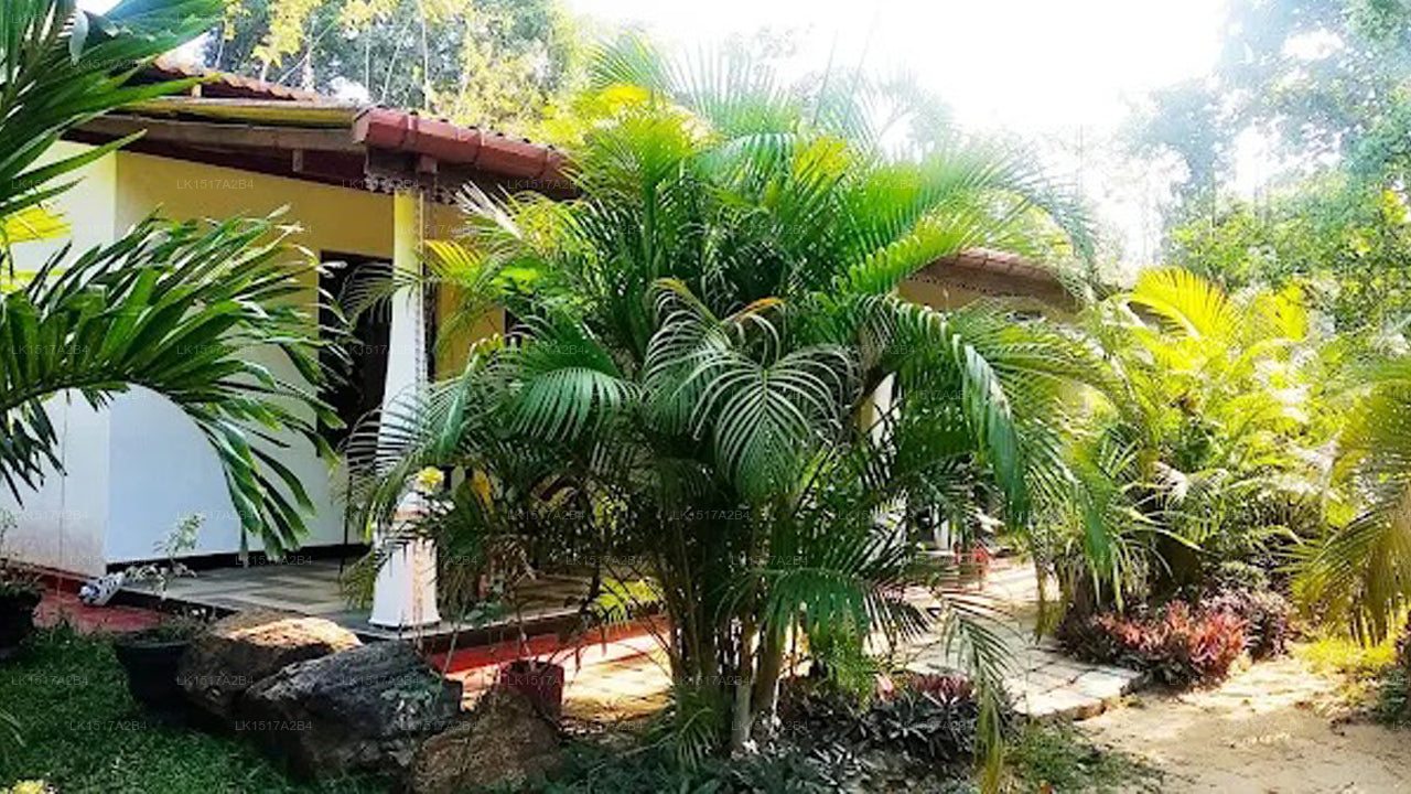 Danara Privatzimmer, Sigiriya