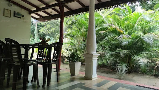 Danara Privatzimmer, Sigiriya