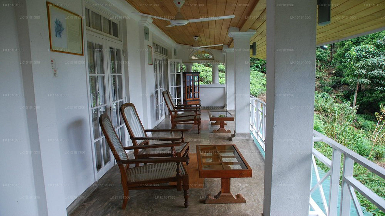 Waldrand, Kitulgala