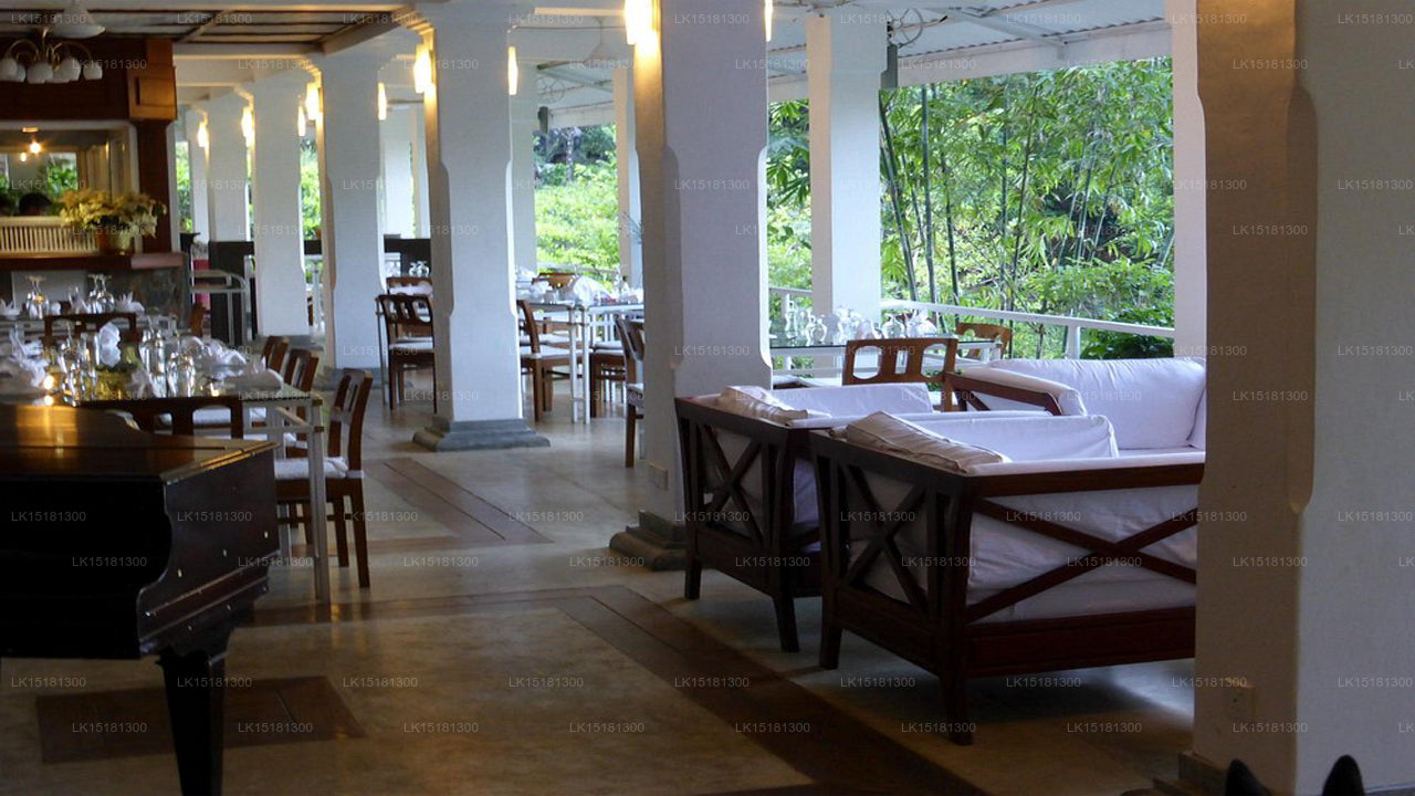 Waldrand, Kitulgala