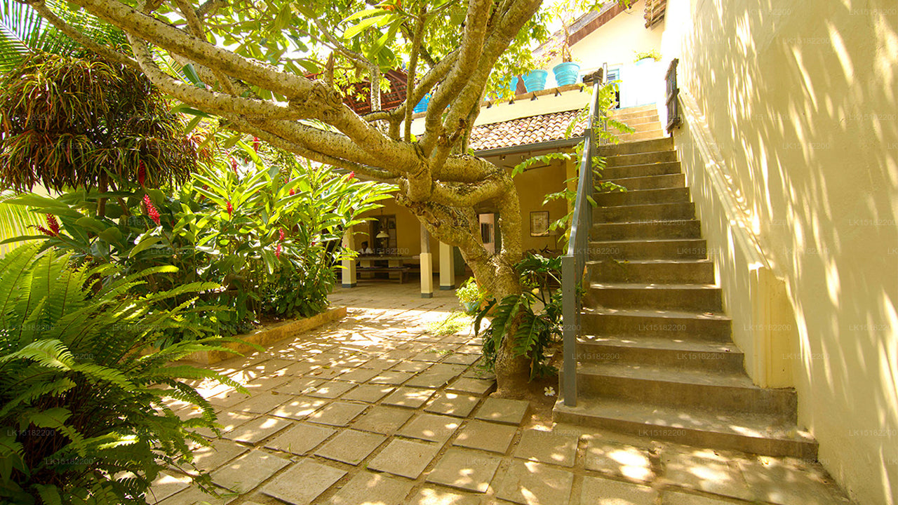 79 Leyn Baan, Galle 