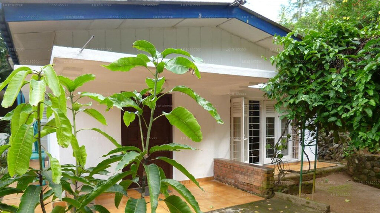 Tropisches Gartenhaus Kandy, Kandy 