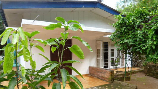 Tropisches Gartenhaus Kandy, Kandy 